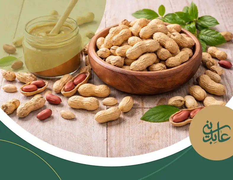 خواص بادام زمینی برای سلامت استخوان ها