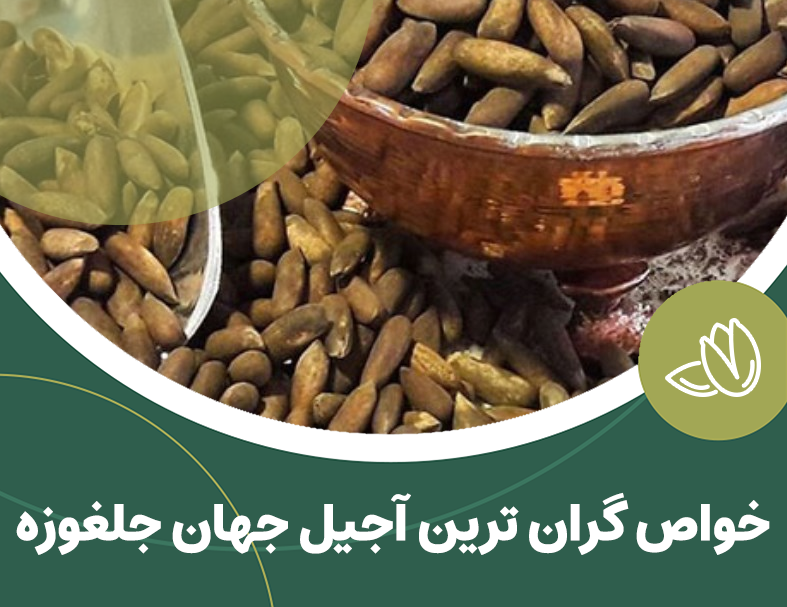 خواص گران ترین آجیل جهان جلغوزه