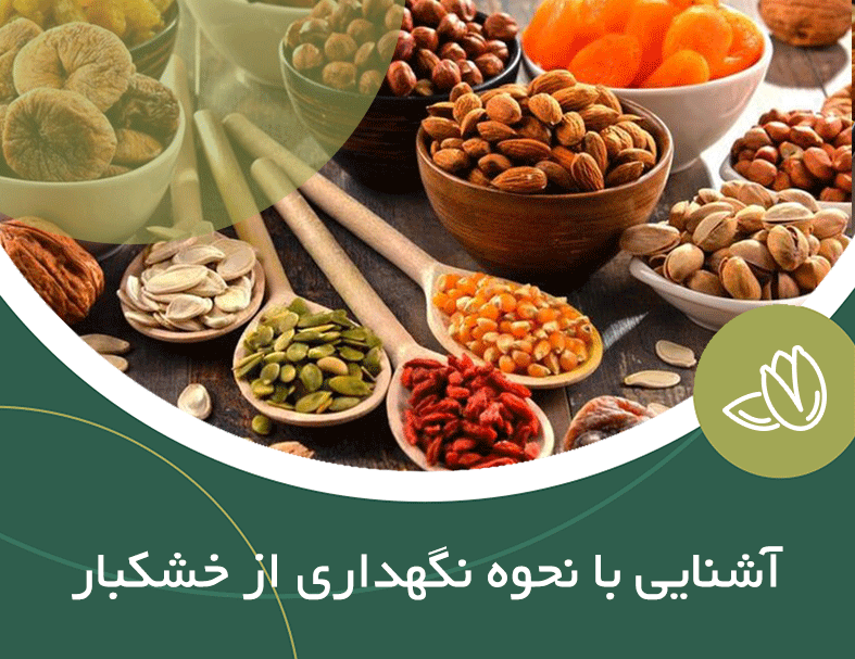 آشنایی با نحوه نگهداری از خشکبار
