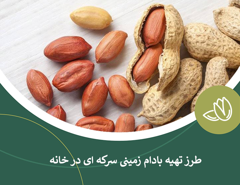 طرز تهیه بادام زمینی سرکه ای در خانه