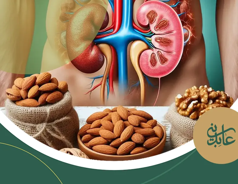 6 آجیل مفید برای کلیه 