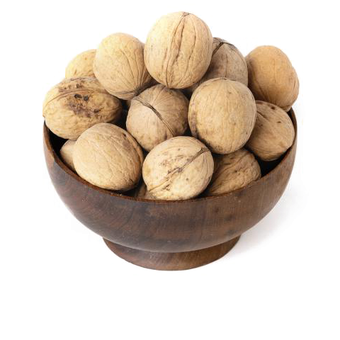 گردو باپوست