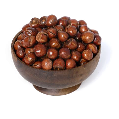 فندق باپوست